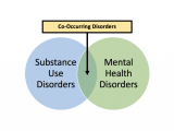 NACCTP: Co-Occurring Disorders