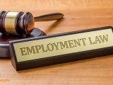 Employment Law Certificate