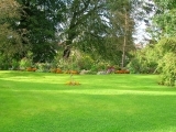 Yardscaping:  Sustainable Lawn Care and Landscaping For Nature