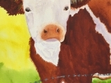 Painting: Watercolor: Cow