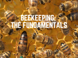 Beekeeping: The Fundamentals