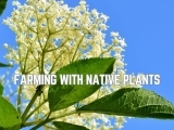 Farming with Native Plants
