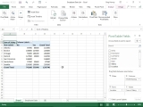 Microsoft Excel Pivot Tables-Basics