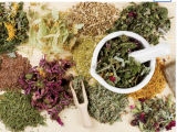 Intro to Blending Herbs for Health