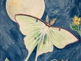 Watercolor of the Seasons: Moon Phases and the Luna Moth W22