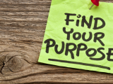 Finding Purpose in Your Career