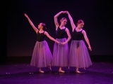Beginner Pointe Class-Fridays (recommended ages: Grades 6-12)