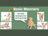 Basic Manners