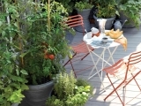 Small Space Gardening Hacks