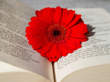 Original source: https://pixabay.com/get/gbf0c084c2e20aad6c710840407cb3a10b897bccfa644172541debf69f0199ea6765fca6e6d8184f0af4cad94064d8590a7cd6645d3acf73a028cd9adfcda0908_1280.jpg Don't be Afraid, It's Only SHAKESPEARE!