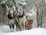 Sleigh Rides to Winter Wonderlands Songs of the Season Chapter Two