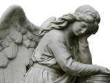 Guardian Angel Trusts (Online)