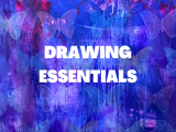 Drawing Essentials