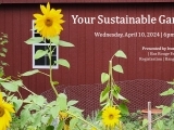 Gardening: Your Sustainable Garden