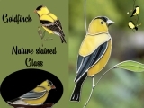 EW-09-28,29 or 10-01,02 Nature Stained Glass Creations "  The Goldfinch"