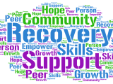 Recovery Capital Training