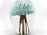 EW-05/17/25-Glassblowing:Jellyfish