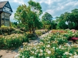 UK Spring Garden Tour - Snowdonia, Cotswolds & the Chelsea Flower Show