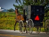 AMISH OPEN HOUSE, Session 2