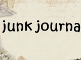 Aug 7 - 11 Junk Journals - Grades 6 - 10