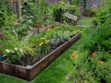 Becoming a Backyard Herbalist