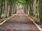 Navigating Pathways to Opportunity: Comprehensive Student Supports