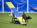 Original source: https://s3.amazonaws.com/coursestorm/live/media/d72f775c779111f0a70c124bd5b32d05 256-525 - AGILITY MANEUVERS (continuing)