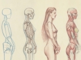 Figure Drawing Foundations: Anatomy, Cast, and Life (In-Person)