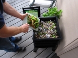 Indoor Composting Part I: Vermicomposting
