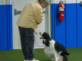 256-103 OBEDIENCE HOUSEHOLD I