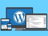 Creating WordPress Websites