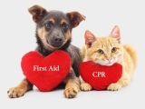 Dog & Cat First Aid/CPR