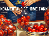 Fundamentals of Home Canning
