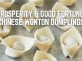 Prosperity and Good Fortune: Chinese Wonton Dumplings