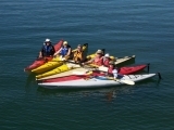 Elements of Coastal Kayaking