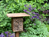 Mason Bee House Workshop
