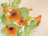 Watercolor Techniques for Adults, Tuesdays Oct. 28 - Dec. 2, 2pm - 4pm
