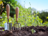 Organic Gardening: Companion Planting