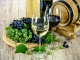 Wines Of The World (Online)