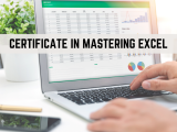 Certificate in Mastering Excel