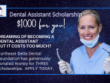 Scholarship Application Info - Northeast Delta Dental Foundation 