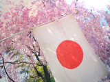 Japanese Language & Culture