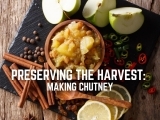 Preserving the Harvest: Making Chutney
