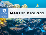 Marine Biology 2nd Ed.